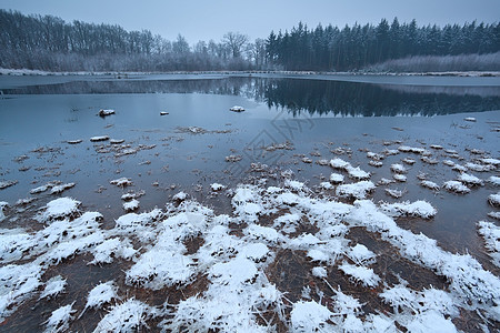森林中冷冻的野湖图片