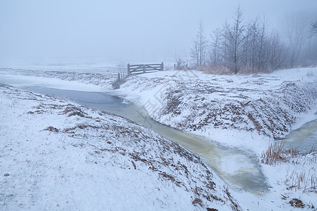 雾中冰冻的河流和雪地草原图片