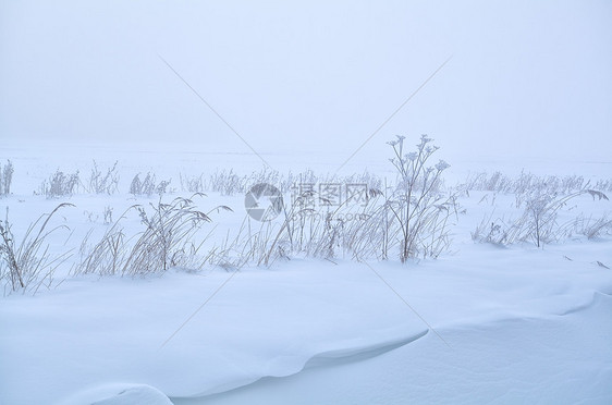 草地上的草原上满是积雪图片