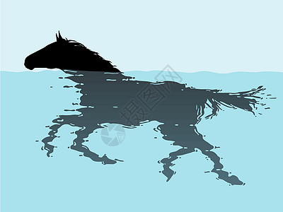 游泳马训练哺乳动物治疗蓝色插图游泳池动物行动水池涟漪图片