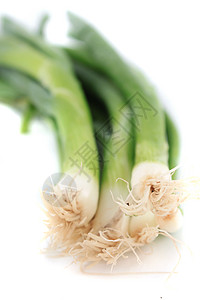 绿洋葱食物白色青葱洋葱灯泡叶子香葱绿色植物蔬菜背景图片