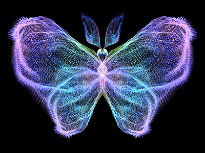 蝴蝶元素生物学传播野生动物插图昆虫装饰品设计漏洞森林眼睛图片