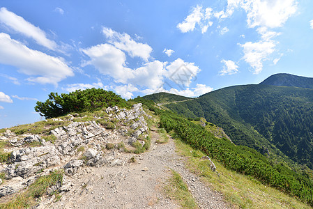 塔塔山区环境森林旅行红峰生态天空爬坡草地远足高地图片