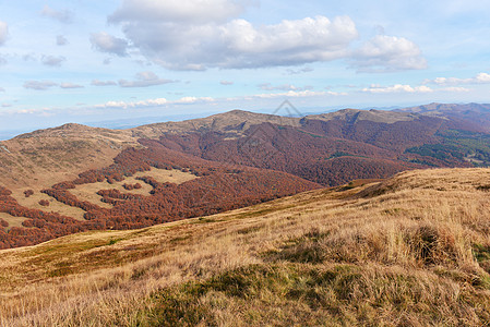 Bieszczady山脉爬坡树木岩石地形旅行假期天空尖峰床单风景图片