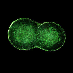 绿色病毒背景图片
