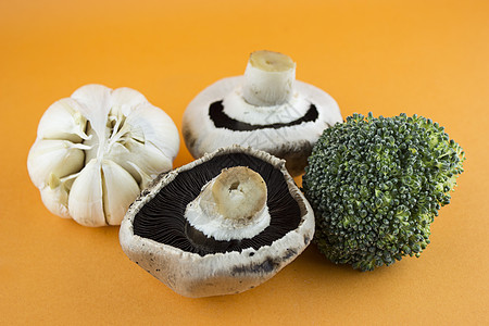 新鲜蔬菜饮食工作室美食午餐营养香菜菌类荒野按钮水果图片