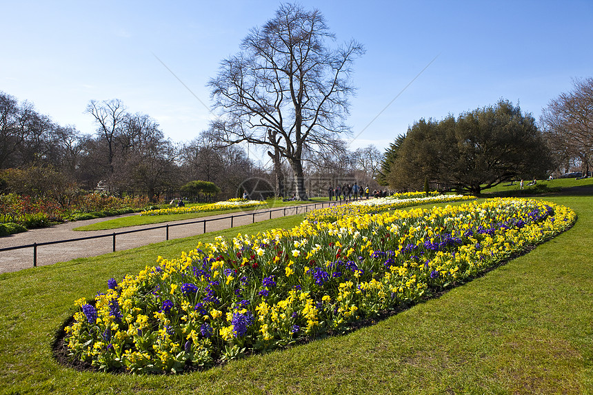 伦敦海德公园风景公园花朵观光途径绿色植物树木旅行旅游足迹图片