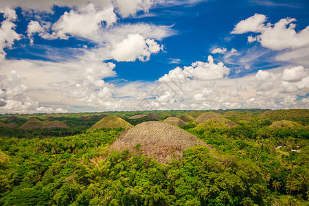 菲律宾Bohol的绿色异寻常巧克力山地球地标场景全景旅行旅游丛林情调森林热带图片