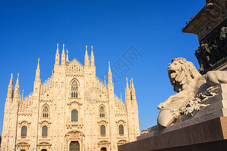 米兰 Duomo雕像狮子文化鸽子贵族教会城市正方形纪念馆大教堂图片