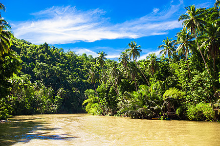 热带洛博克河 两岸都有棕榈树丛林风景情调农村公园木头河景叶子森林假期图片