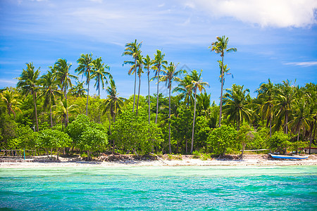 热带岛屿海滩的风景和完美的蓝色天空旅游棕榈海景异国荒野海浪海岸旅行假期图片