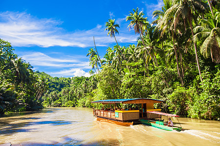 与游客在博霍尔洛博克丛林河上搭乘的外游游船农村血管森林巡航椰子观光娱乐热带冒险旅行图片