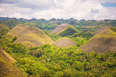 菲律宾Bohol的绿色和黄色异寻常巧克力山图片