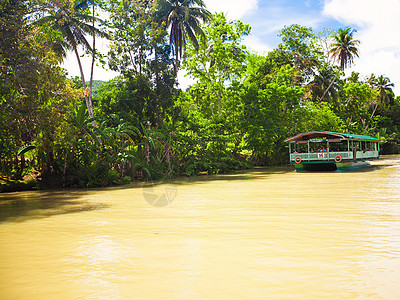与游客在博霍尔洛博克丛林河上搭乘的外游游船冒险血管椰子水景荒野丛林棕榈花园旅游河景图片
