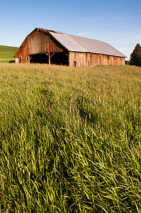 Palouse 国家农场工业设备加建工地农村风景食物爬坡季节小麦乡村土地场景生长图片