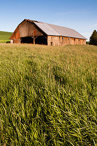 Palouse 国家农场工业设备加建工地谷仓食物风景丘陵乡村场景农田土地收成季节图片