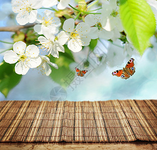 空表格桌子花园美丽竹子风景蝴蝶码头季节天气环境图片