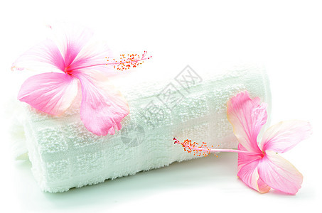 粉红色希比斯白色花瓣植物粉色毛巾雌蕊异国温泉热带情调图片