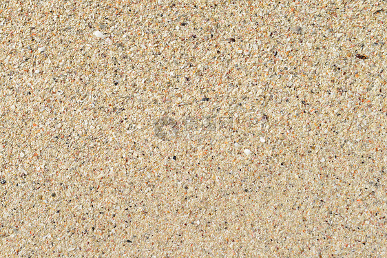 沙沙海滩干旱海洋粒状热带海岸假期粮食材料沙丘墙纸图片