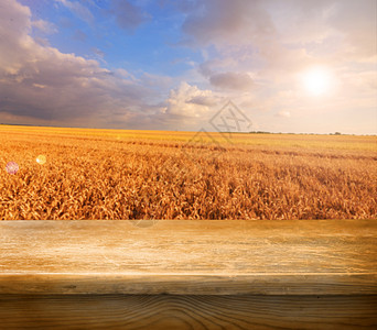 空表格天空小麦农业照片太阳亚麻乡村辉光场地木头图片