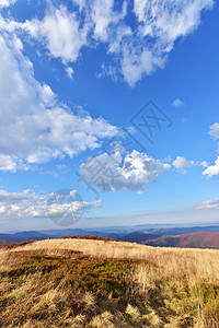 Bieszczady山脉环境全景高山公园旅游天空草地岩石地形顶峰图片