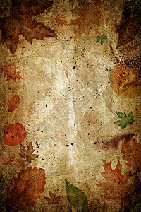 秋季背景棕褐色橡木艺术装饰品条纹橙子墙纸剪贴簿卡片插图图片