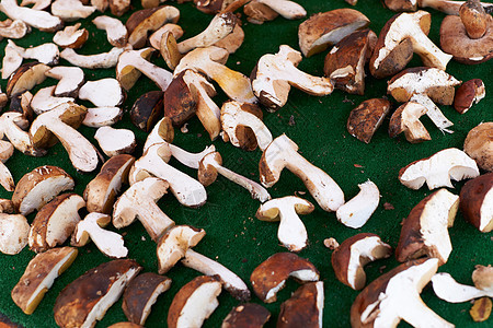 食用肉泡蘑菇市场销售食物森林营养图片