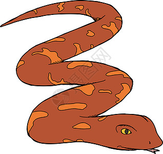 红孤立蛇图片