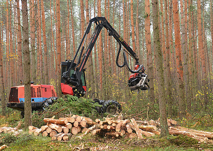 收获者产品能源技术建造工作松树木头收成森林林业图片