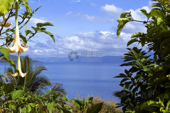 鲜花和托巴湖图片