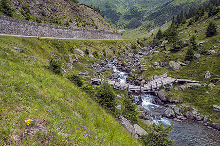 山山河顶峰木头叶子旅游森林国家风景山脉石头生态图片