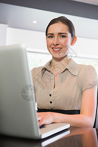从事膝上型电脑工作的有吸引力的女商务人士咖啡店微笑酒吧头发技术女性棕色笔记本餐厅发髻图片