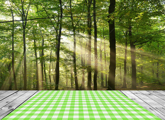 空表格亚麻太阳展示材料树叶羊毛天空广告百叶窗植物图片