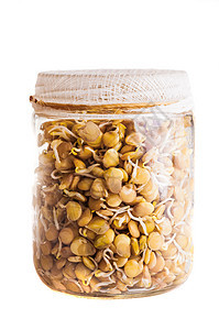 在玻璃罐中生长的冷冻剂粮食食物白色树叶居住幼苗豆芽生活绿色蔬菜图片