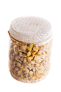 喷发冷冻剂在罐中生长的顶端视图居住小麦白色蔬菜种子绿色粮食背景植物树叶图片