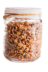 在玻璃罐中生长的冷冻剂居住食物蔬菜树叶生活植物豆芽白色发芽园艺图片