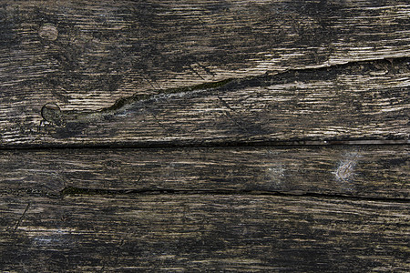 木质纹理染色藻类苔藓地面风格装饰橡木木工材料控制板图片