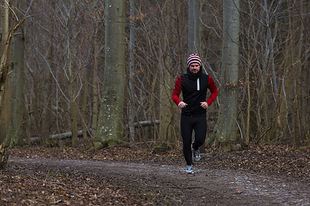森林运行耐力运动员福利树木男性跑步年轻人训练成人活动图片