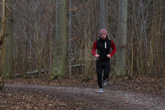 森林运行耐力运动员福利树木男性跑步年轻人训练成人活动图片