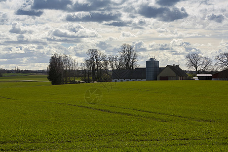 农场农业田园天空风景蓝色场地谷物风光色彩绿色图片