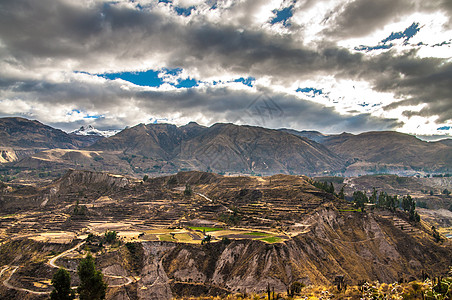 Colca 峡谷视图概览梯田旅游奇威丘陵风景环境高地农业全景岩石图片