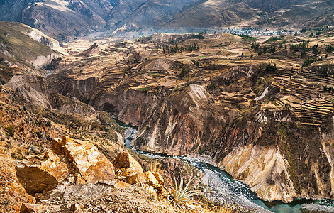 Colca 峡谷视图概览冒险高度环境梯田阳台旅行农业高地丘陵农村图片