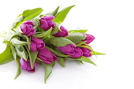 粉红的荷兰郁金香树叶粉色花朵绿色花束灯泡花瓶图片