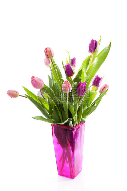 花瓶中粉红色荷兰郁金香粉色灯泡花朵花束紫色绿色树叶图片