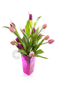 花瓶中粉红色荷兰郁金香粉色紫色树叶灯泡花朵绿色花束图片