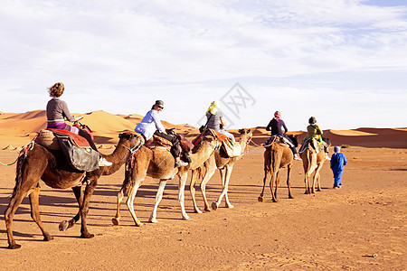 骆驼大篷车穿过撒哈拉沙漠的沙丘骑术护航旅行旅游哺乳动物运输动物游客人们寂寞背景图片