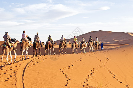 骆驼大篷车穿过撒哈拉沙漠的沙丘动物旅行孤独旅游太阳驼峰运输脚趾哺乳动物沙漠图片