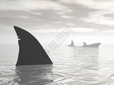 海洋中的鲨鱼  3D地平线白色攻击风险灰色危险动物天空生活潜水图片