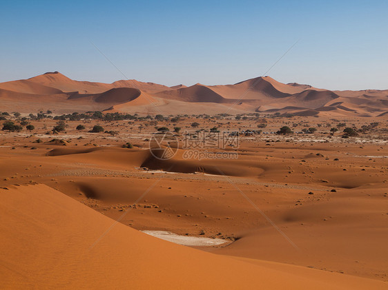 纳米德沙漠的红色沙丘 纳米德沙漠的红色沙丘爬坡日落沙漠旅行蓝色阴影橙子干旱寂寞航向图片