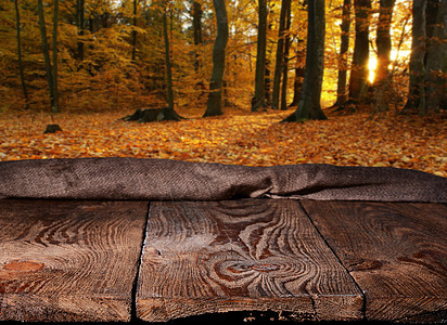 空表格场地太阳木板桌子纺织品乡村森林木头晴天日落图片